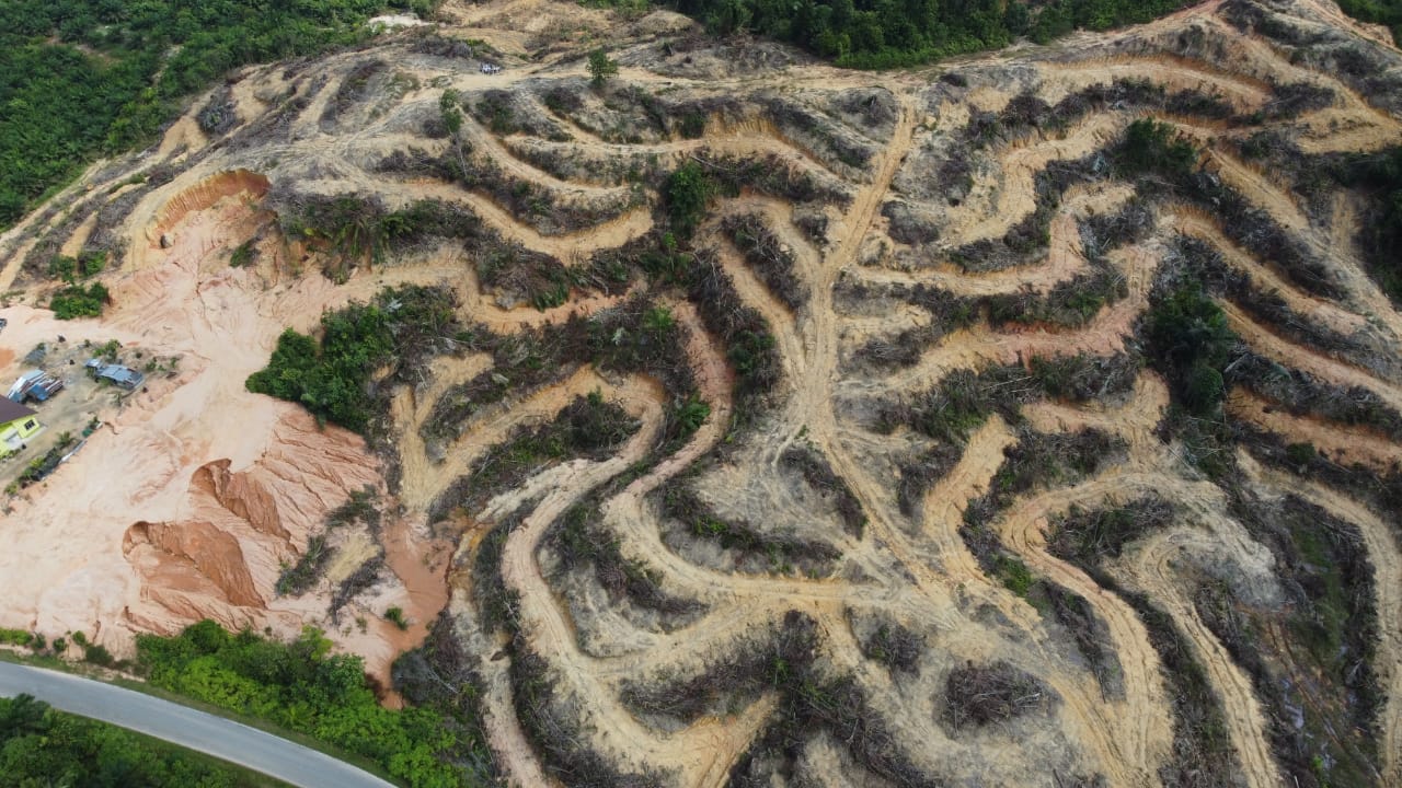 Rancangan Pemulihan Tanah Terbiar Rancangan Pemulihan Tanah Terbiar