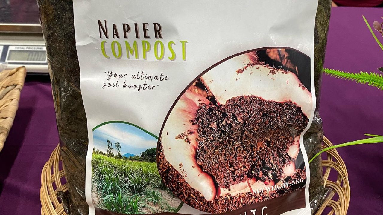 Baja & Kompos Baja & Kompos